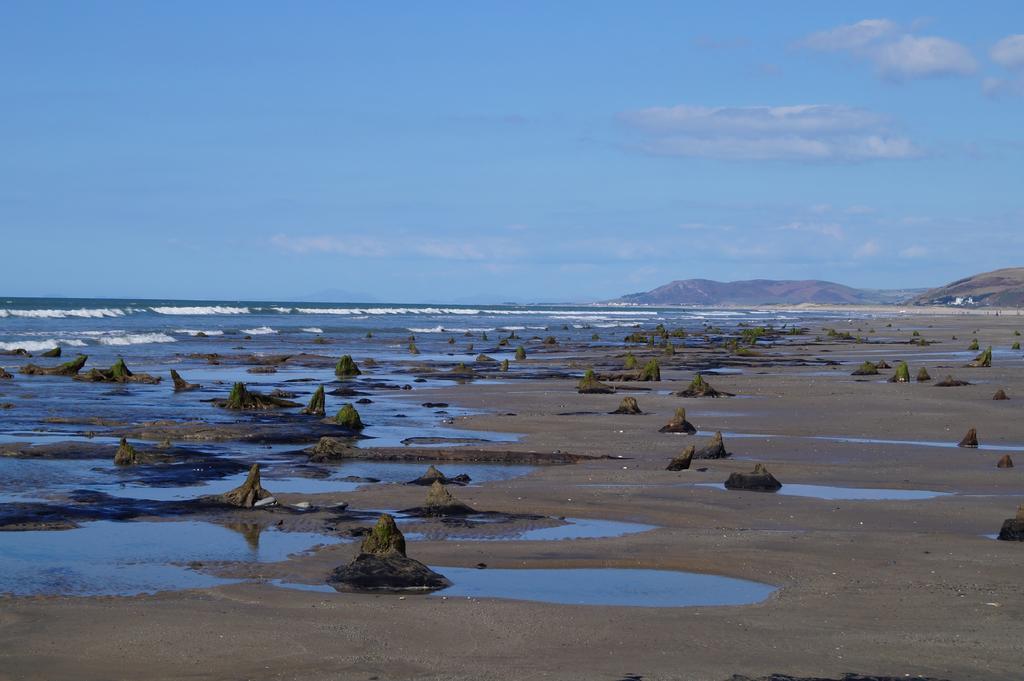 Yha Borth Ostello Esterno foto